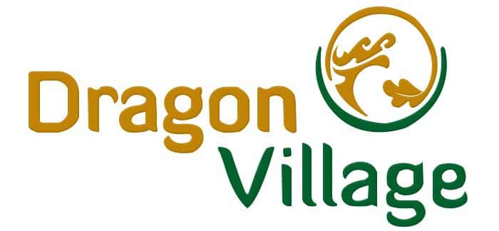 Logo Dragon Village - Dragon Village